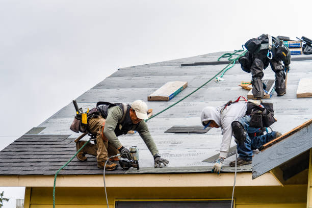 Professional Flat Roof Repair technician working in Roberta, GA
